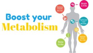 How to boost your metabolism with exercise